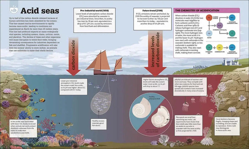 Science of our Changing Planet, The (Paperback) DK UK