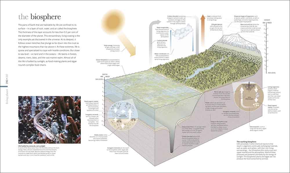 Science of the Earth, The - 買書書 BuyBookBook