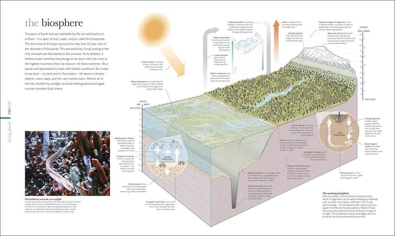 Science of the Earth, The - 買書書 BuyBookBook