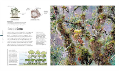 Science of the Earth, The - 買書書 BuyBookBook