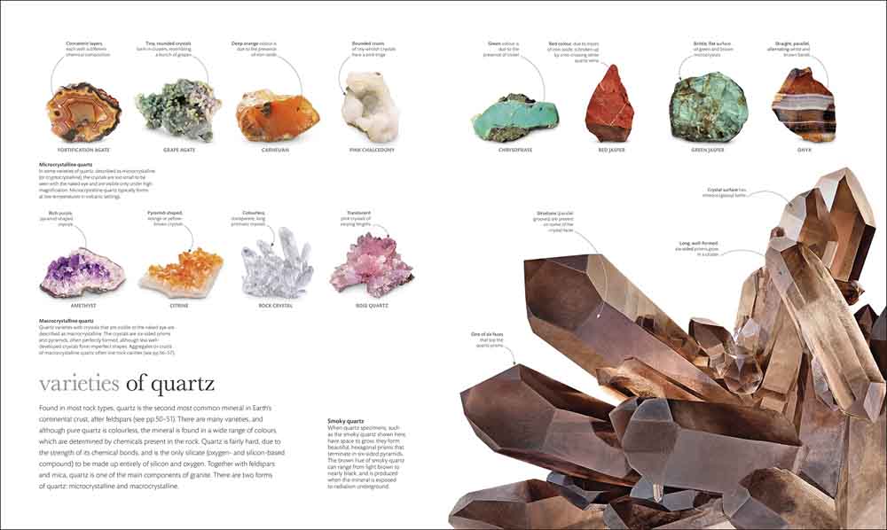 Science of the Earth, The - 買書書 BuyBookBook