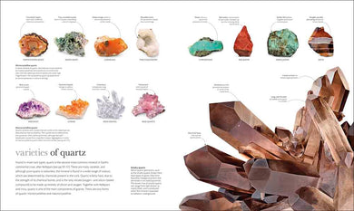 Science of the Earth, The - 買書書 BuyBookBook