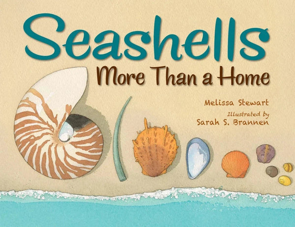 Seashells-Children’s / Teenage general interest: Nature and animals-買書書 BuyBookBook