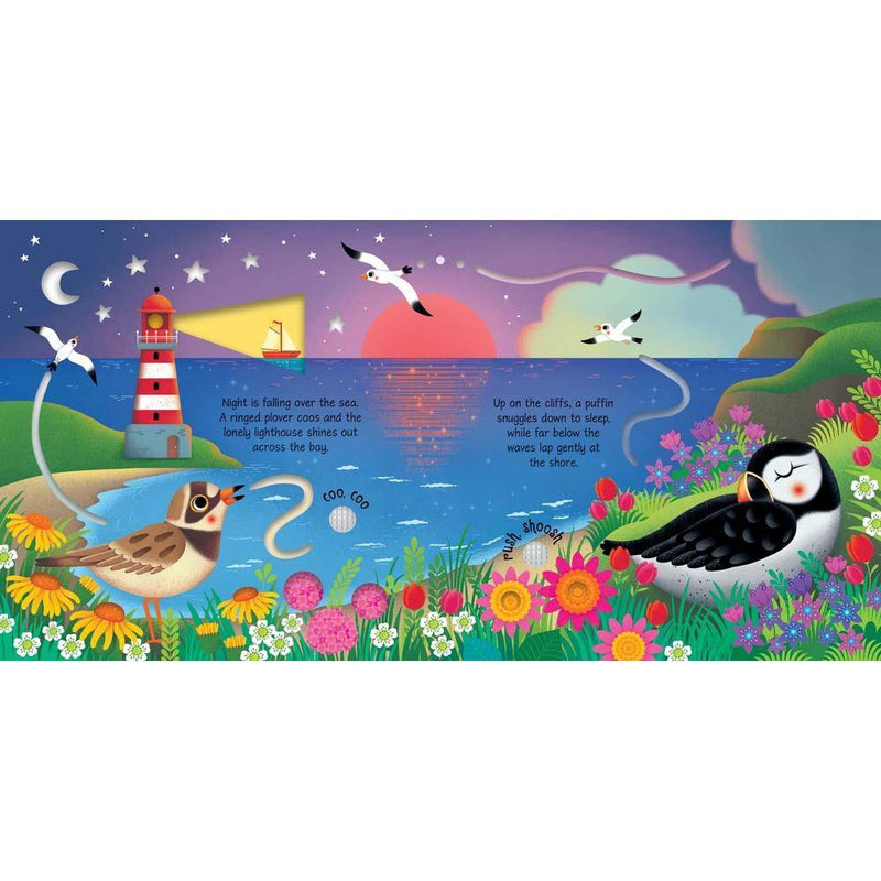 Usborne Seashore Sounds Book Usborne