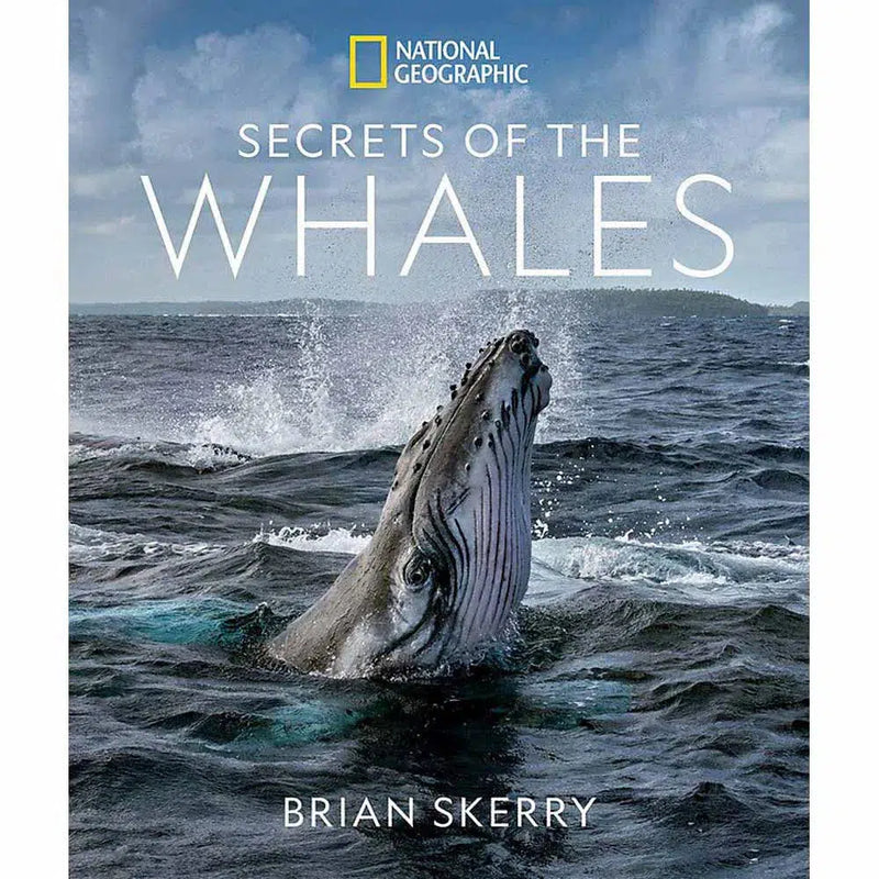 Secrets of the Whales (Hardback) - 買書書 BuyBookBook