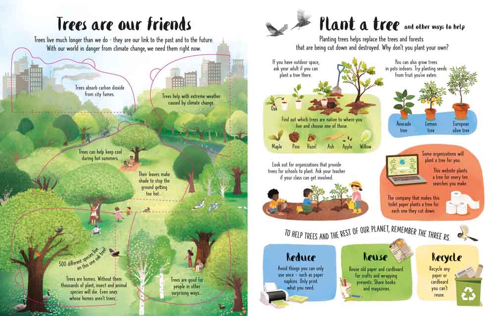 See Inside Trees - 買書書 BuyBookBook