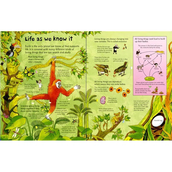 See inside Science Usborne