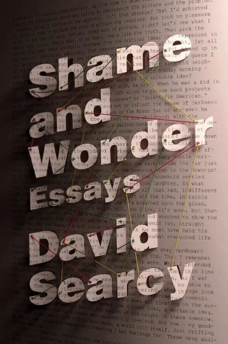 Shame and Wonder-True stories and non-fiction prose-買書書 BuyBookBook