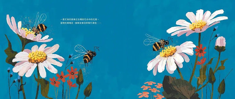 上天下海，動物蓋房子-故事: 兒童繪本 Picture Books-買書書 BuyBookBook