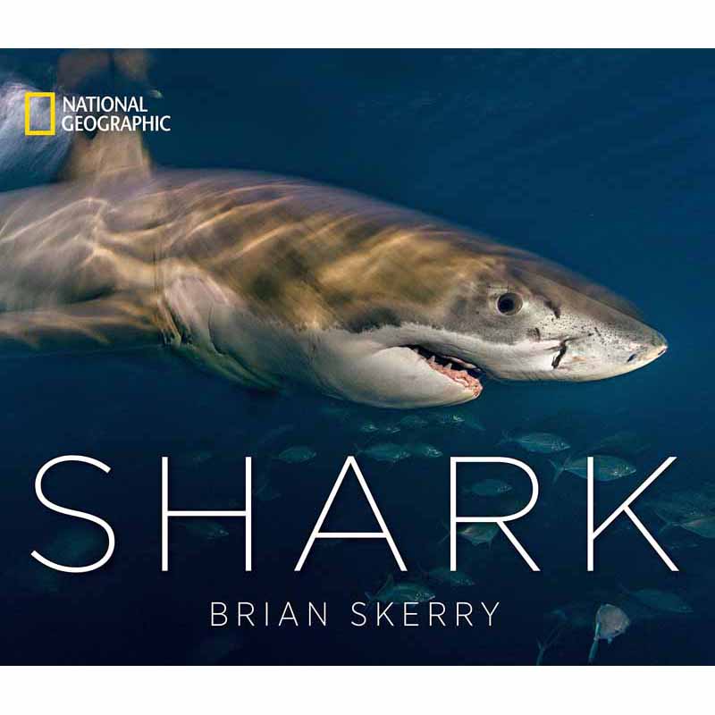 Shark (Hardback) - 買書書 BuyBookBook