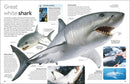 DK Eyewitness Shark (New Edition)-Nonfiction: 動物植物 Animal & Plant-買書書 BuyBookBook
