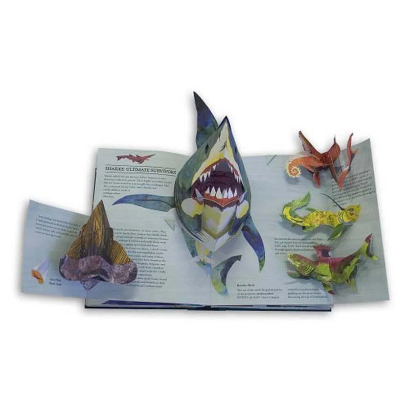 Sharks and Other Sea Monsters Pop-up Book (Hard back) (Pop Candlewick Press