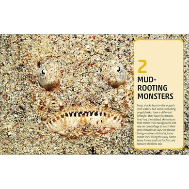 Sharks and Other Deadly Ocean Creatures (Hardback) DK UK