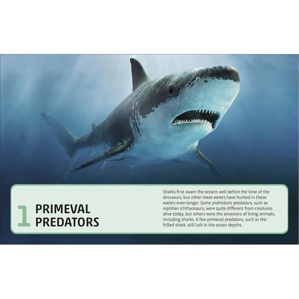 Sharks and Other Deadly Ocean Creatures (Hardback) DK UK