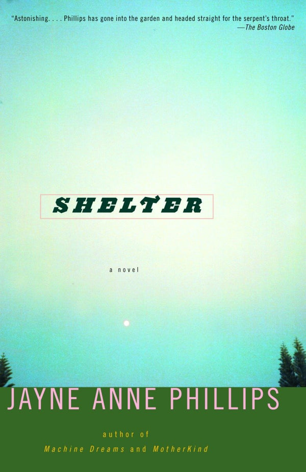 Shelter-Fiction: general and literary-買書書 BuyBookBook