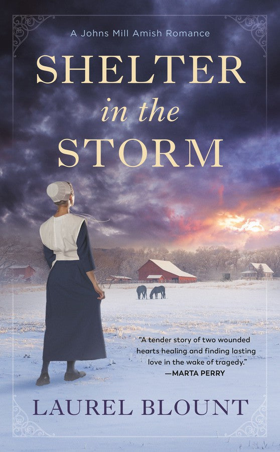 Shelter in the Storm-Fiction: Religious and spiritual-買書書 BuyBookBook