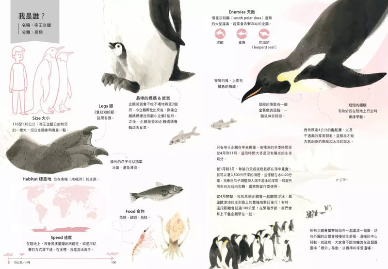 世界上最棒的媽媽和爸爸〔動物繪本圖鑑2〕(隨書加贈可愛動物身高尺海報)-非故事: 動物植物 Animal & Plant-買書書 BuyBookBook