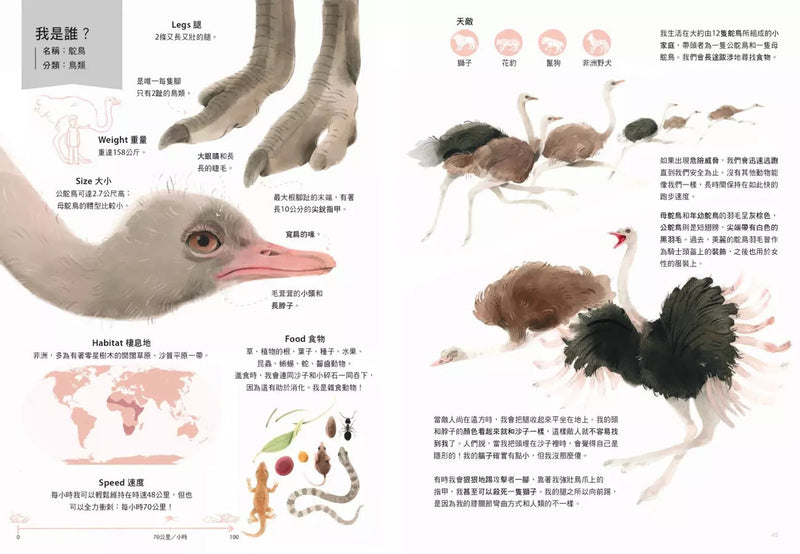 世界上最大的動物〔動物繪本圖鑑1〕-非故事: 動物植物 Animal & Plant-買書書 BuyBookBook