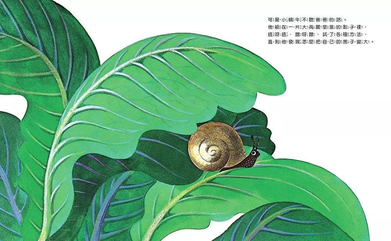 世界上最大的房子（Leo Lionni）-故事: 兒童繪本 Picture Books-買書書 BuyBookBook