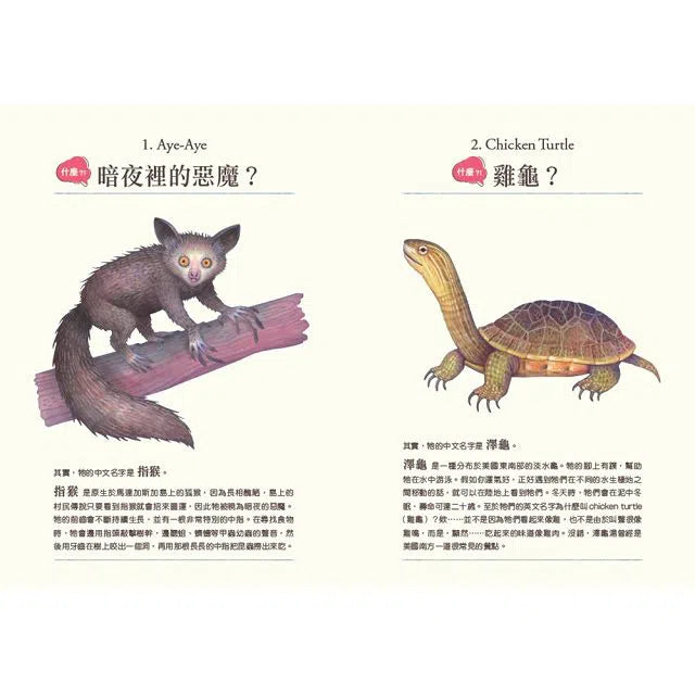 什麼?! 居然有這種動物：牠們的名字怪怪的-非故事: 動物植物 Animal & Plant-買書書 BuyBookBook