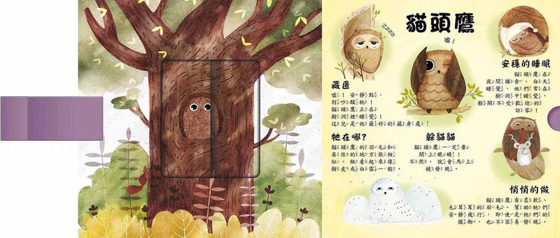 是誰藏在森林和雪地? (拉頁書)-非故事: 動物植物 Animal & Plant-買書書 BuyBookBook