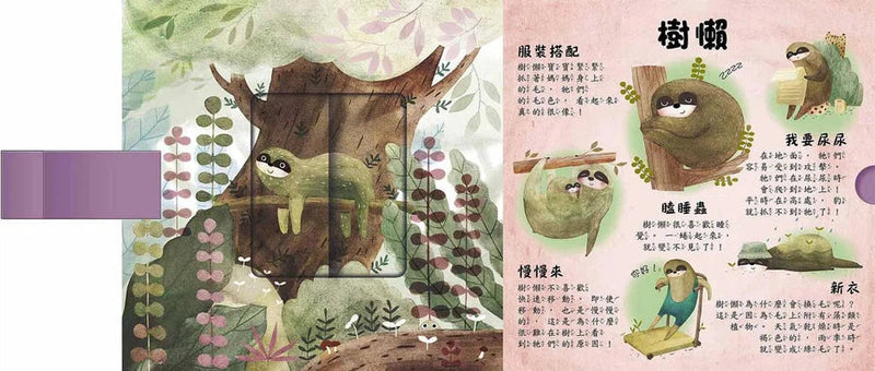 是誰藏在森林和雪地? (拉頁書)-非故事: 動物植物 Animal & Plant-買書書 BuyBookBook