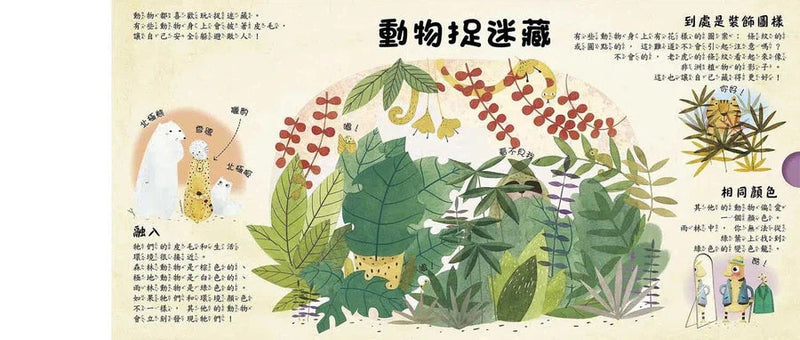 是誰藏在森林和雪地? (拉頁書)-非故事: 動物植物 Animal & Plant-買書書 BuyBookBook