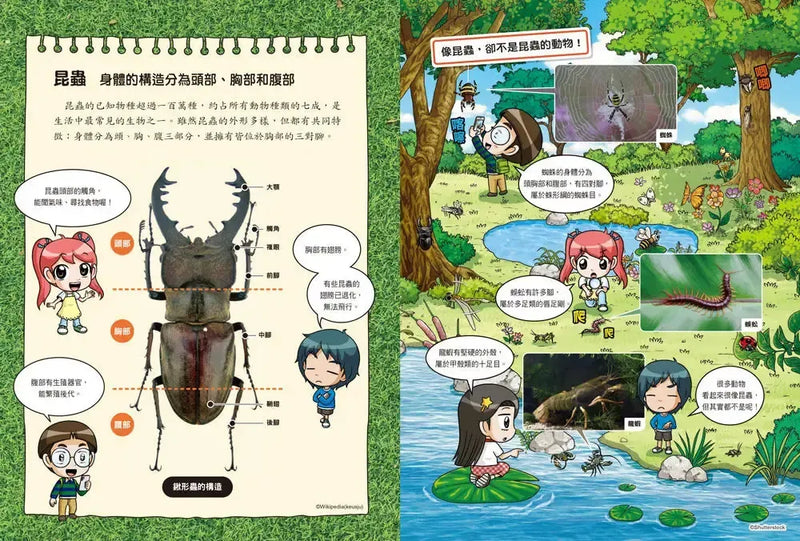 【實驗王特輯】科學實驗王理科關鍵字2：生物（一）附資優學習單-Children’s / Teenage general interest: Science and technology-買書書 BuyBookBook