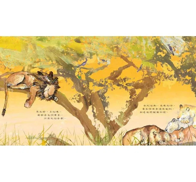 獅子阿洛睡不著 (英國凱特．格林威獎入圍)-故事: 兒童繪本 Picture Books-買書書 BuyBookBook