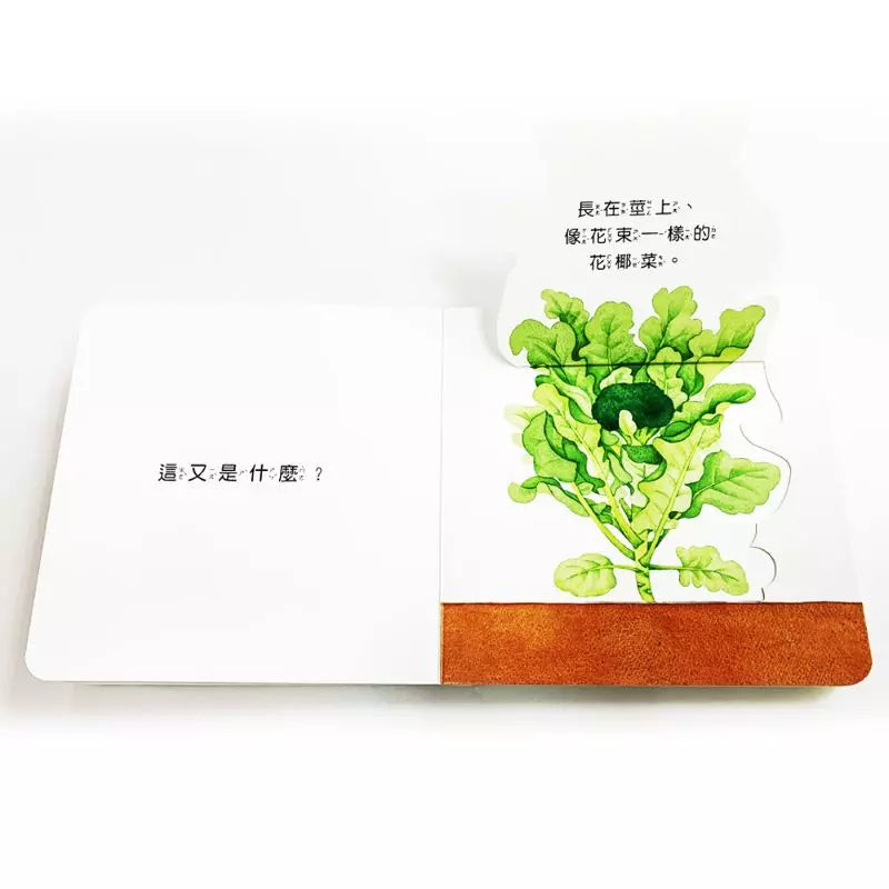 蔬菜長大囉！(木下惠)-非故事: 動物植物 Animal & Plant-買書書 BuyBookBook