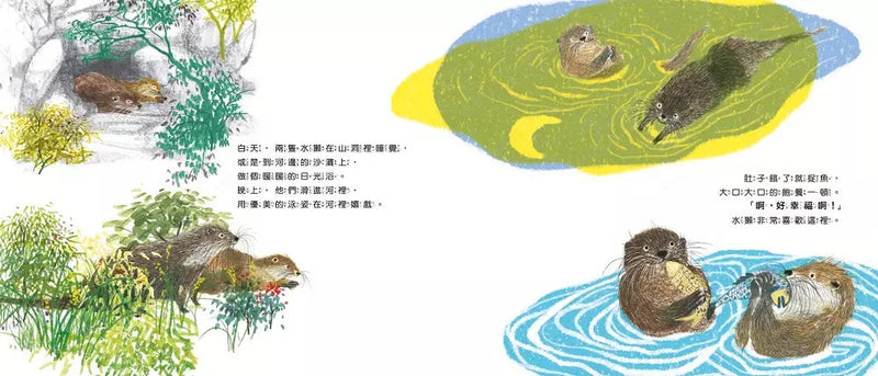 水獺的家怎麼了？-故事: 兒童繪本 Picture Books-買書書 BuyBookBook