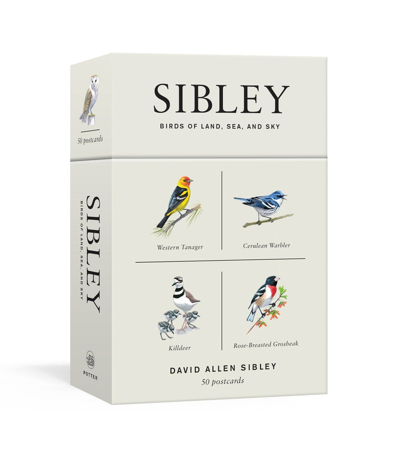 Sibley Birds of Land, Sea, and Sky-Wildlife: birds and birdwatching: general interest-買書書 BuyBookBook