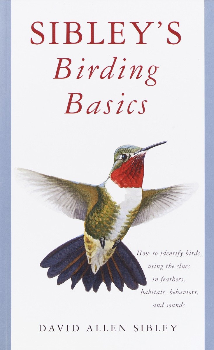 Sibley's Birding Basics-Nature and the natural world: general interest-買書書 BuyBookBook