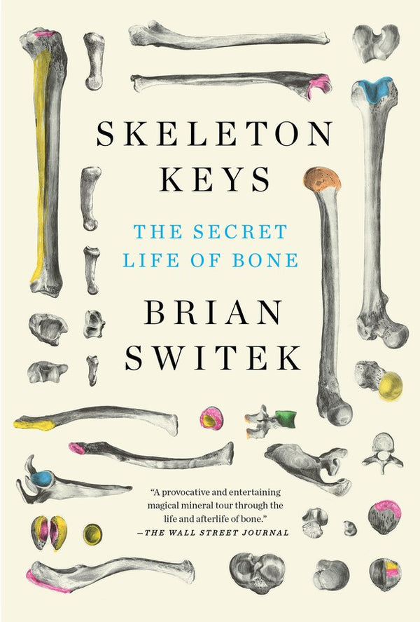 Skeleton Keys-Mathematics and Science-買書書 BuyBookBook