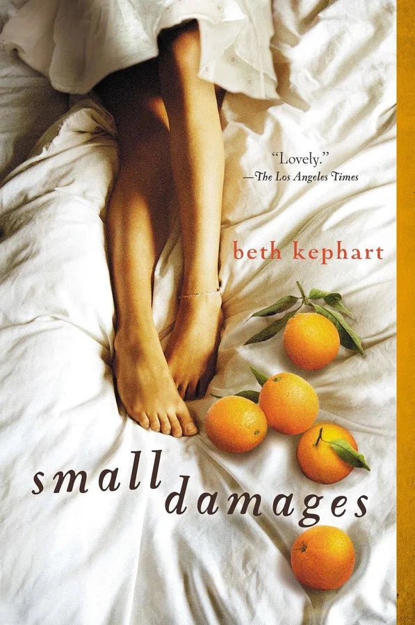 Small Damages-Children’s / Teenage fiction: General and modern fiction-買書書 BuyBookBook