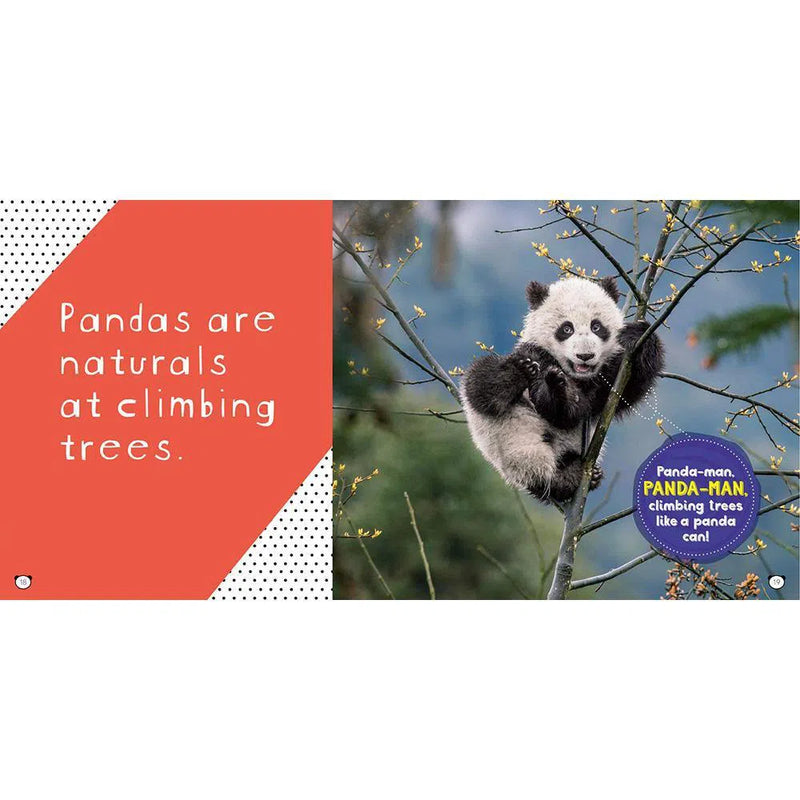 NGK: So Cute! Pandas (Hardback) National Geographic