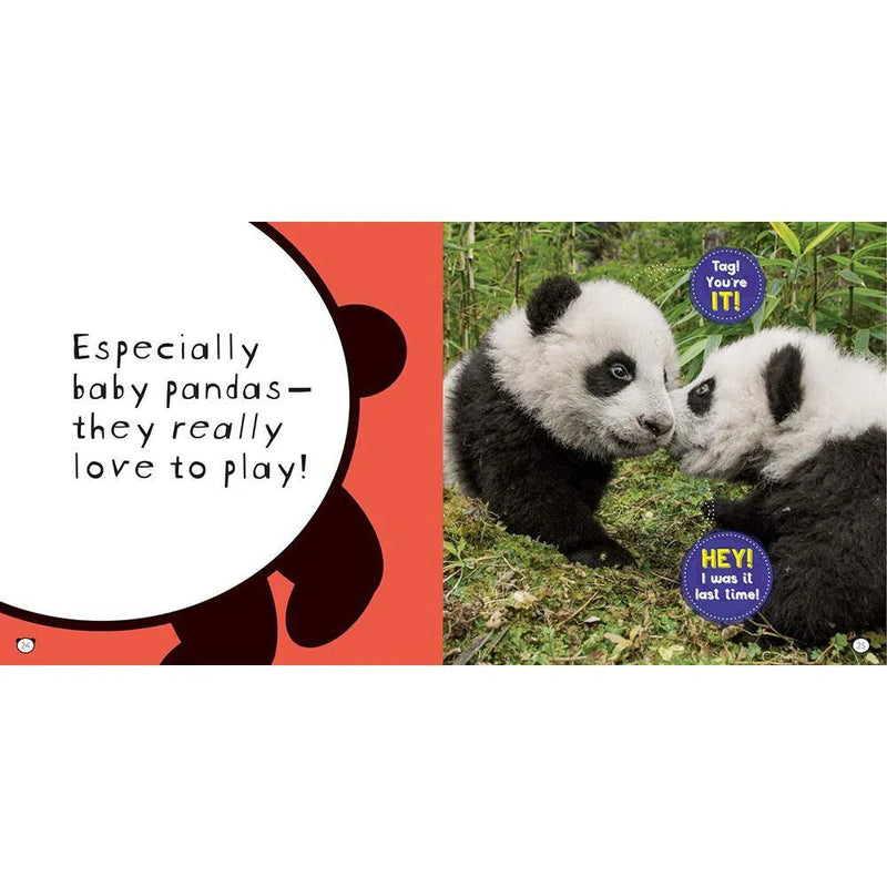 NGK: So Cute! Pandas (Hardback) National Geographic