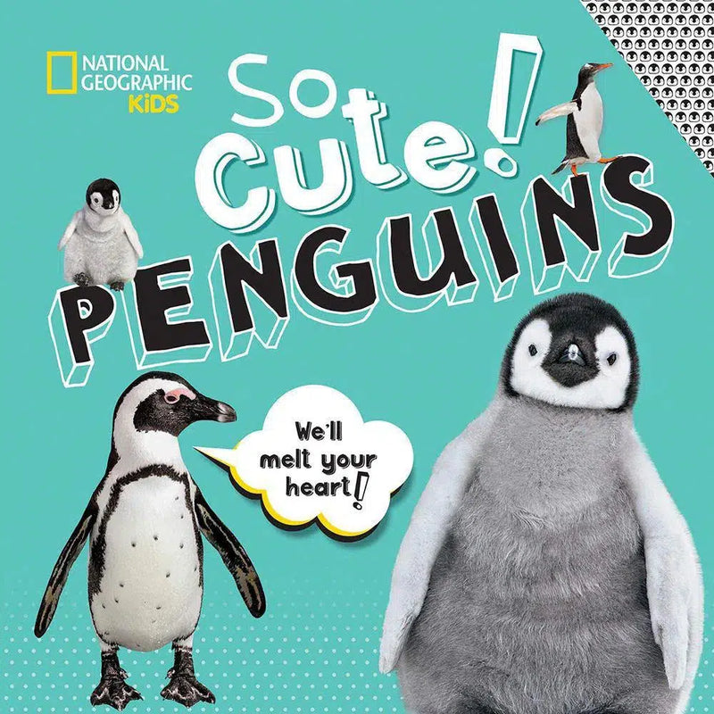 NGK: So Cute! Penguins (Hardback) National Geographic