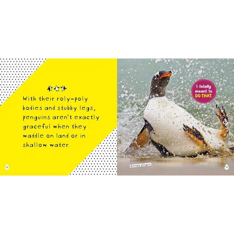 NGK: So Cute! Penguins (Hardback) National Geographic