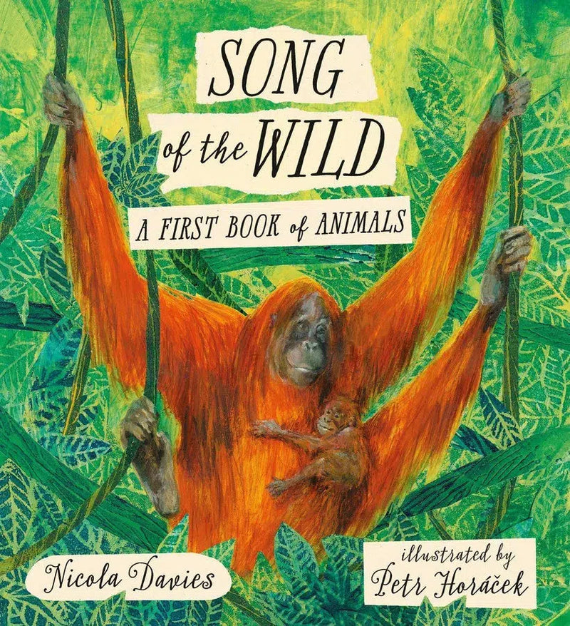 Song of the Wild: A First Book of Animals-Children’s / Teenage general interest: Nature and animals-買書書 BuyBookBook