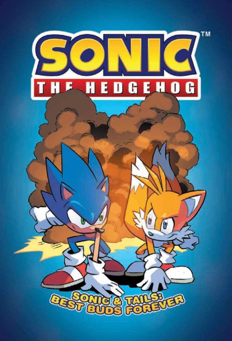 Sonic The Hedgehog: Sonic & Tails: Best Buds Forever - By Ian