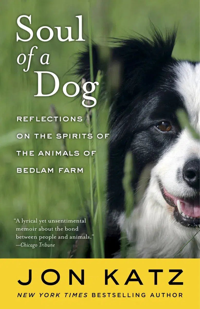 Soul of a Dog-Nature and the natural world: general interest-買書書 BuyBookBook