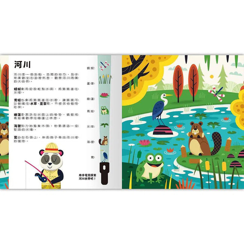 Spotlight！夜遊大自然 (附手電筒膠片書)-非故事: 動物植物 Animal & Plant-買書書 BuyBookBook