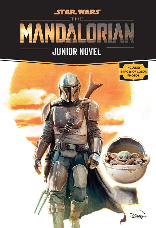 Star Wars: The Mandalorian Junior Novel-Children’s / Teenage fiction: General and modern fiction-買書書 BuyBookBook