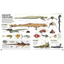 Star Wars - The Visual Encyclopedia (Hardback)(UK) DK UK