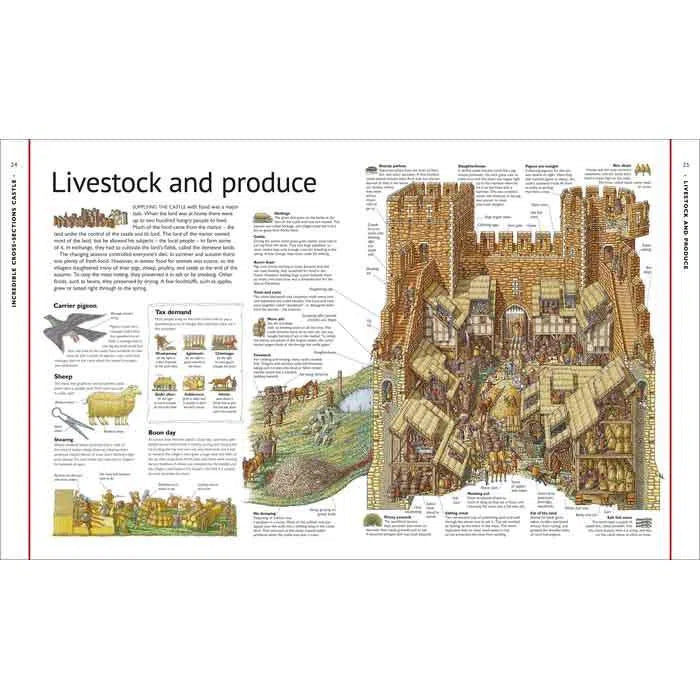 Stephen Biesty's Cross-Sections Castle (Hardback) DK UK