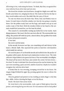 Stolen-Fiction: 劇情故事 General-買書書 BuyBookBook