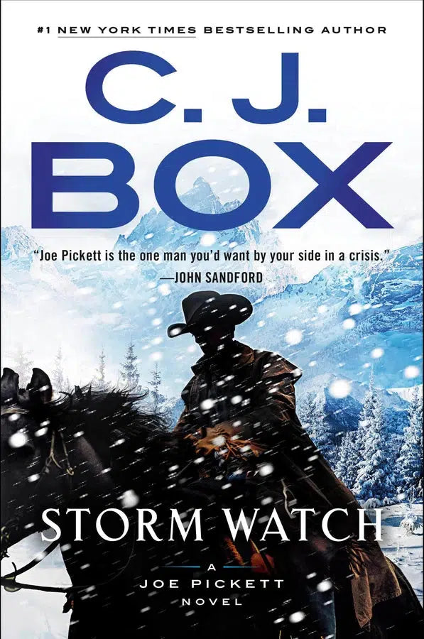 Storm Watch-Fiction: Crime and mystery-買書書 BuyBookBook