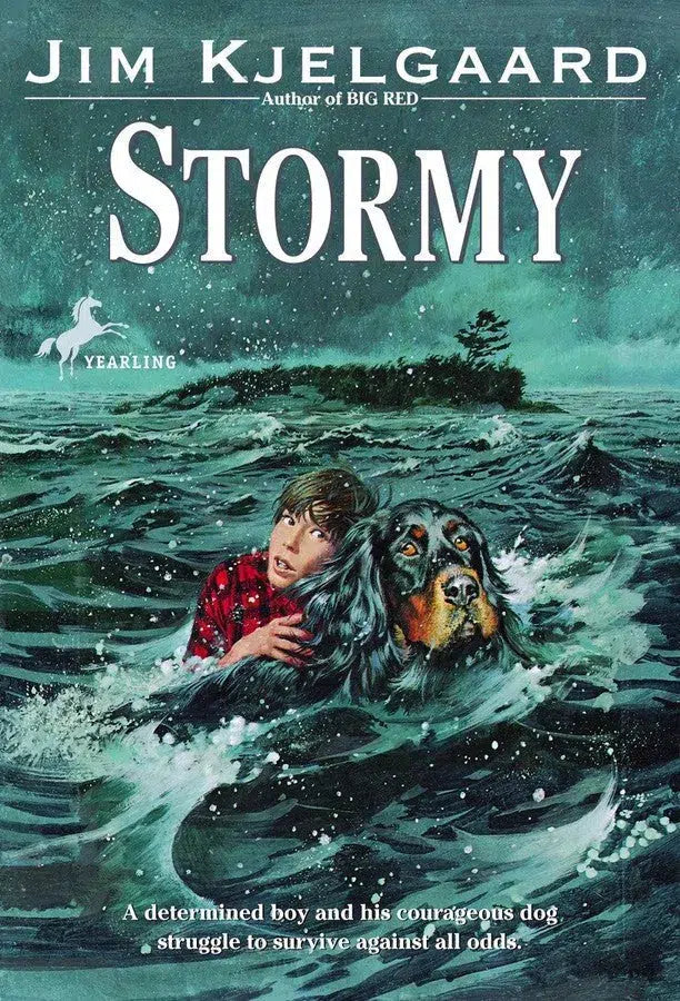 Stormy-Children’s / Teenage fiction: Nature and animal stories-買書書 BuyBookBook