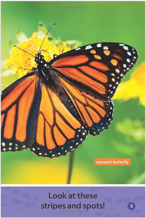 Stripes and Spots (L0) (National Geographic Kids Readers)-Nonfiction: 動物植物 Animal & Plant-買書書 BuyBookBook
